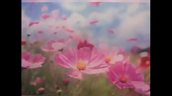 Enjoy the Milton Twins in their Teen Years