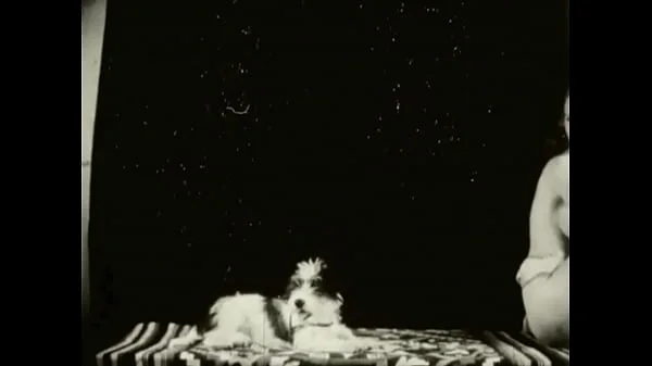 Vintage Taboo, Pussy & Pooch