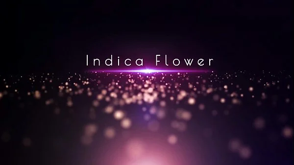 Sex Twerker: Indica Flower rides Laz Fyre NOW on HouseoFyre